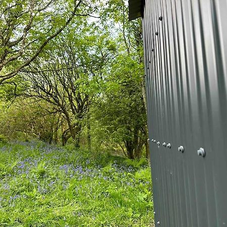 Cornwall Woodland Shepherd'S Hut - Dennis Hut Bodmin Extérieur photo