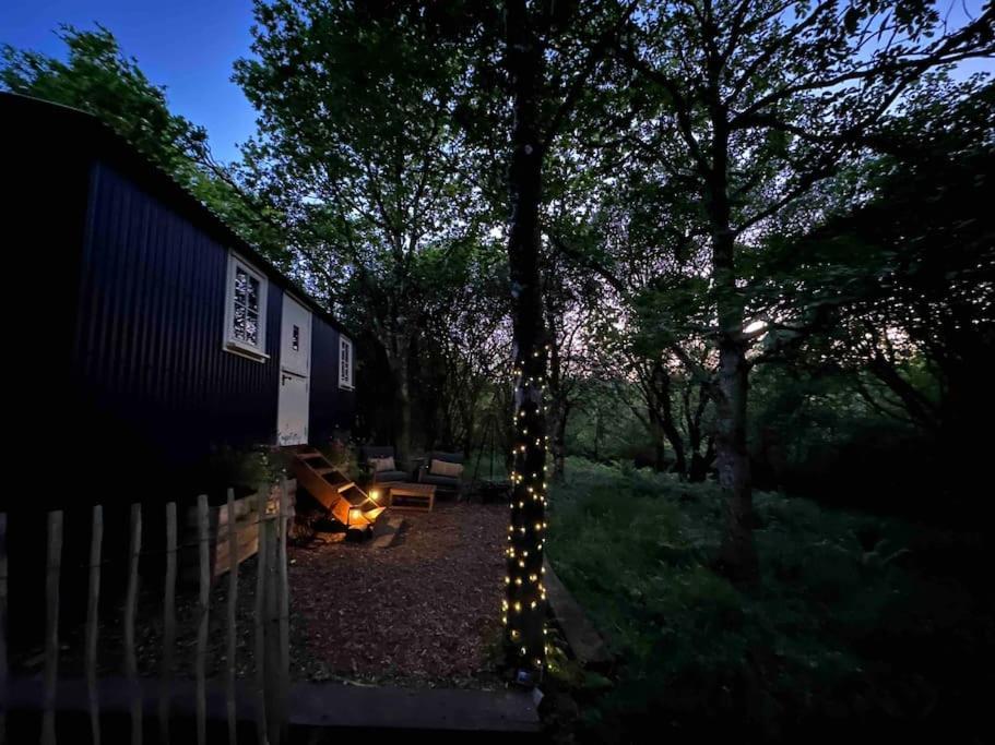 Cornwall Woodland Shepherd'S Hut - Dennis Hut Bodmin Extérieur photo
