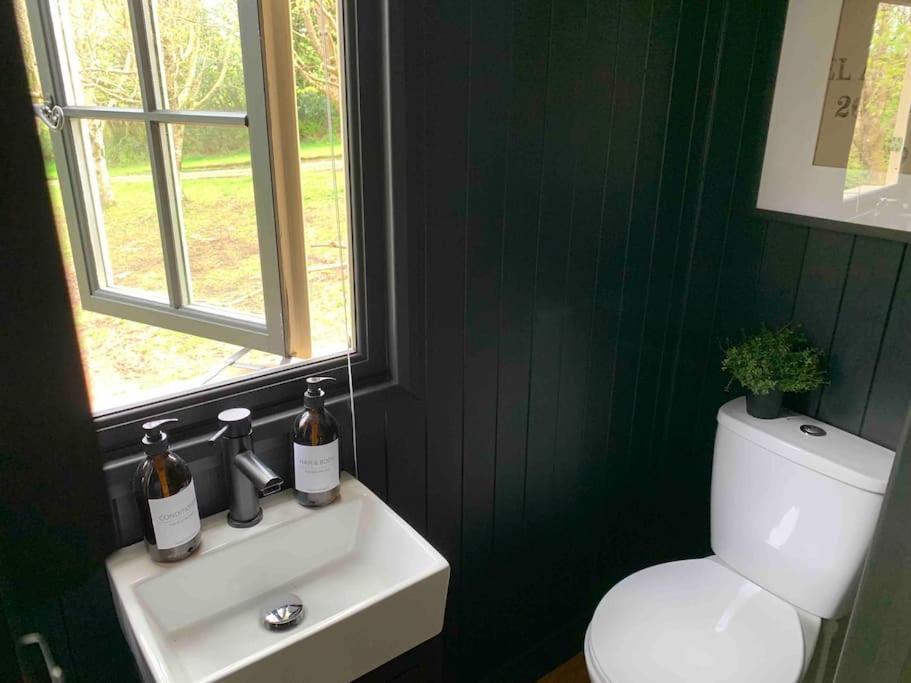 Cornwall Woodland Shepherd'S Hut - Dennis Hut Bodmin Extérieur photo