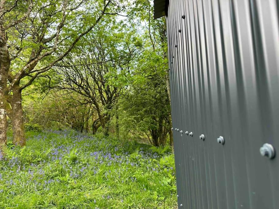 Cornwall Woodland Shepherd'S Hut - Dennis Hut Bodmin Extérieur photo