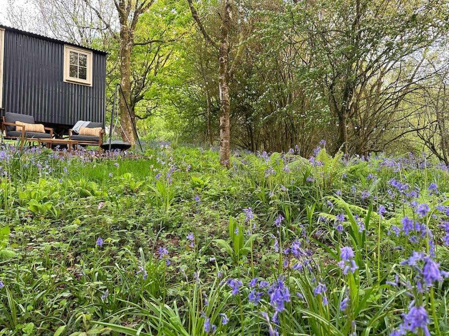 Cornwall Woodland Shepherd'S Hut - Dennis Hut Bodmin Extérieur photo