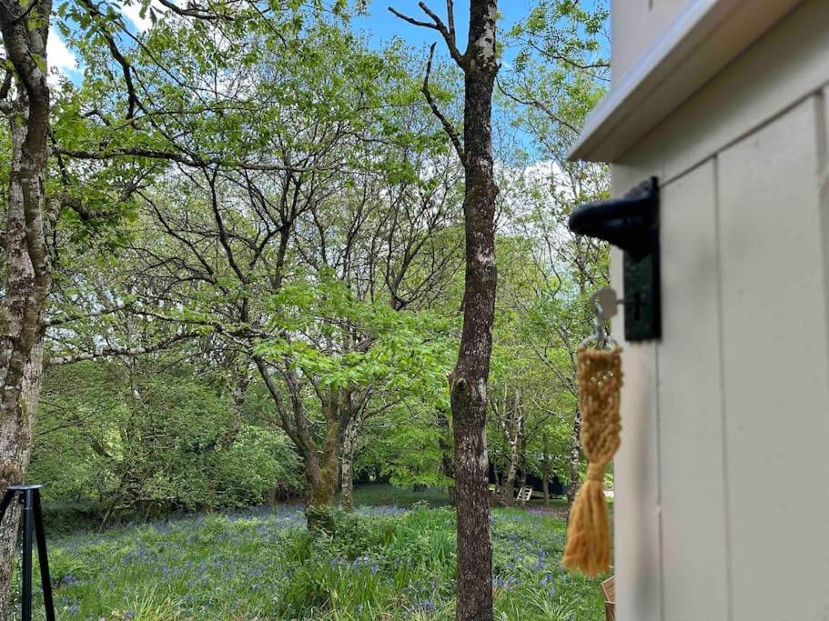 Cornwall Woodland Shepherd'S Hut - Dennis Hut Bodmin Extérieur photo