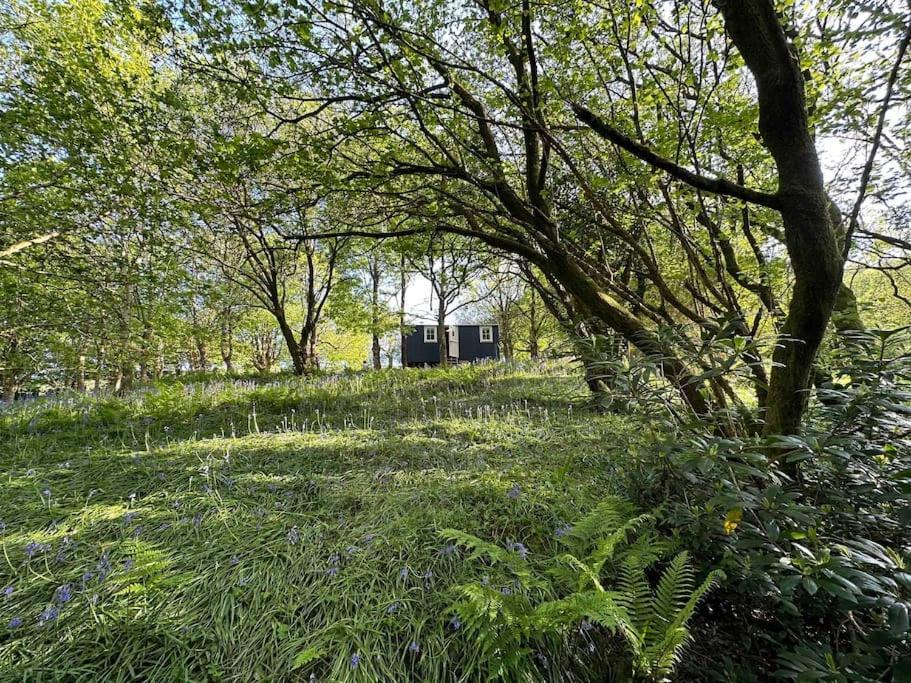 Cornwall Woodland Shepherd'S Hut - Dennis Hut Bodmin Extérieur photo